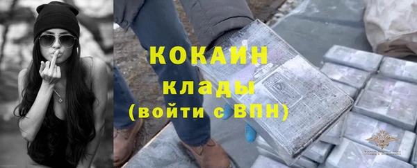 индика Карталы