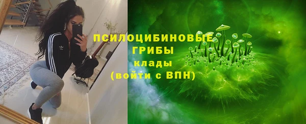 молекула духа Карпинск