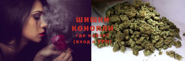 индика Карталы