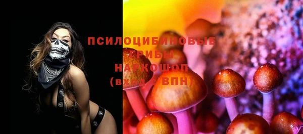 молекула духа Карпинск