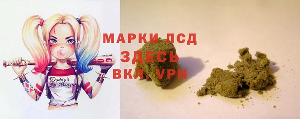 индика Карталы