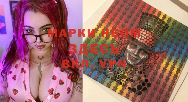 индика Карталы
