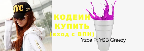 молекула духа Карпинск