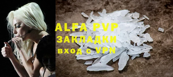 молекула духа Карпинск