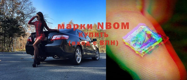индика Карталы