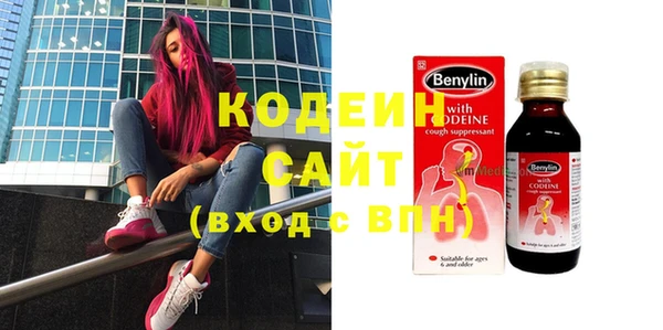 индика Карталы