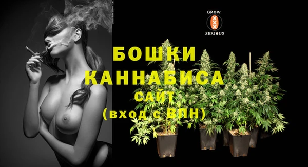 молекула духа Карпинск