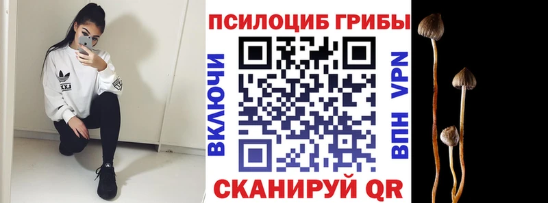 Псилоцибиновые грибы прущие грибы  Купить закладки  Семилуки 